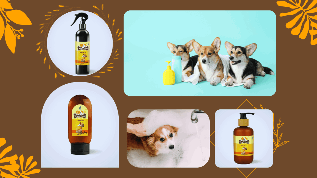 Dog Groom Products