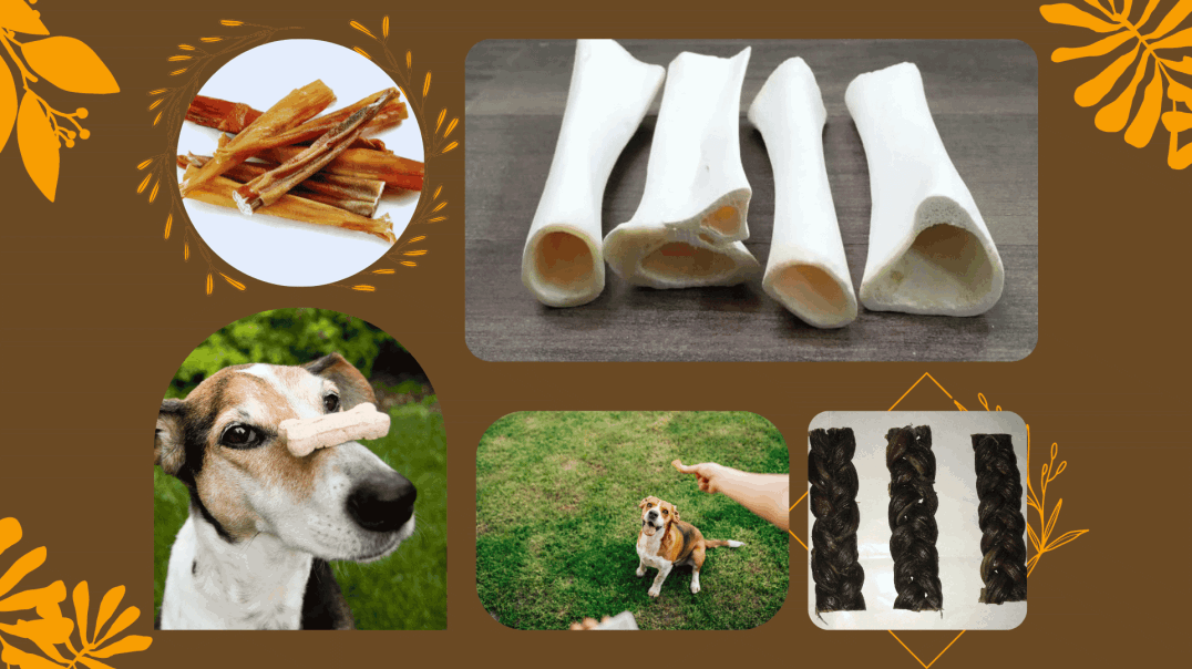 Dog Treat and Snacks